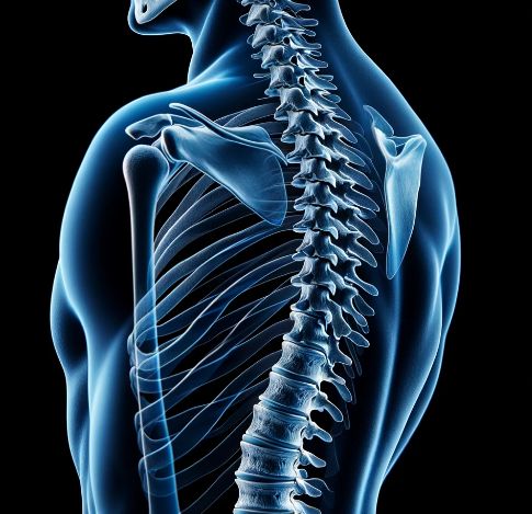 胸椎側面撮影 Thoracic spine lateral view｜Tools for RadTech
